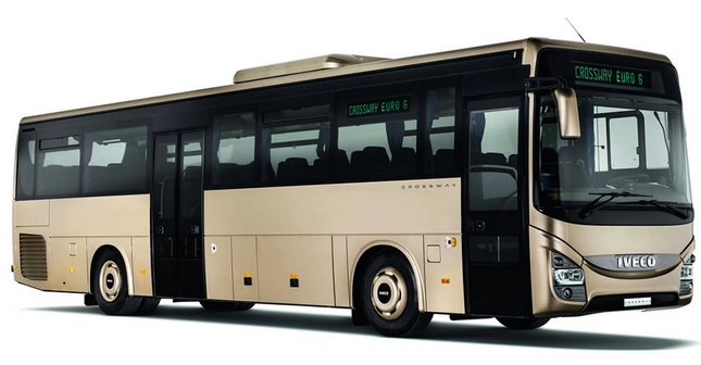 Kategoria D - zdjęcie